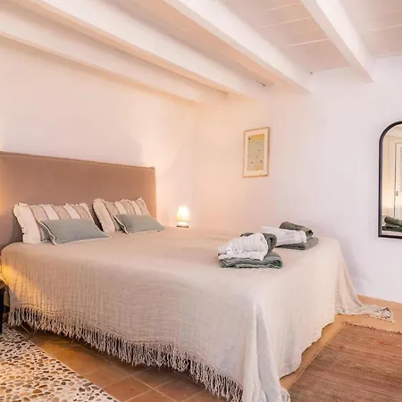 Casa Max Arta