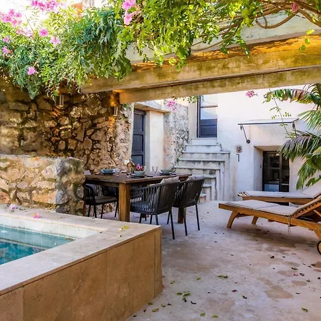 Casa Max Arta
